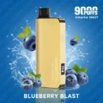 BLUEBERRY BLAST